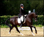 Ponyconcours
